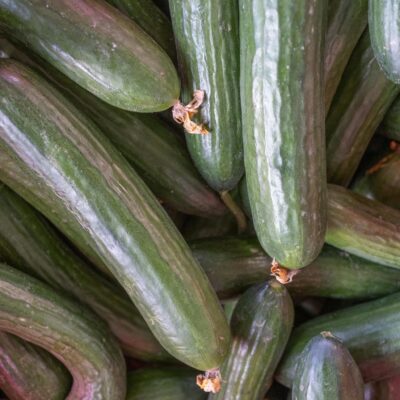 Free stock photo of cucumber, fruits, greengrocer